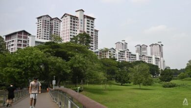 Singapore West PM2.5 Briefly Enters Elevated Range Before Returning to Normal