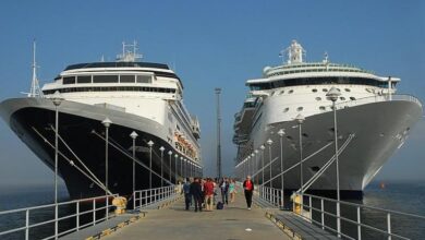 WHO dismisses pandemic fears over cruise ship hantavirus outbreak