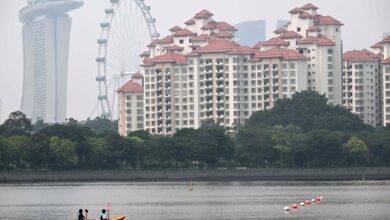 Singapore Deploys Specialist Panel to Investigate Corporate Links to Transboundary Haze