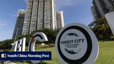 Johor Police Bust Two Major Scam Syndicates in Forest City, Arrest 330 Suspects