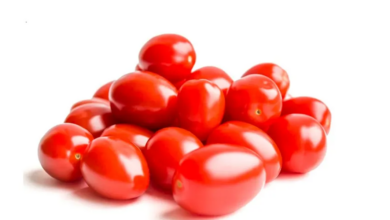 Recurring Salmonella outbreak linked to Sicilian tomatoes sickens hundreds across Europe