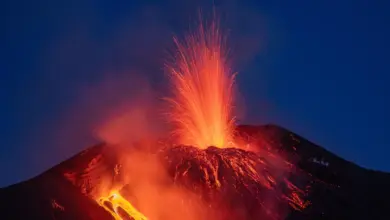 Ancient Etna Eruptions Reveal Volatile Divergence in Magma Dynamics