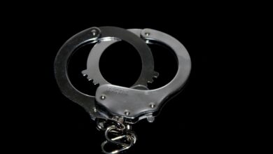 Germany Detains Fourth Suspect in Starlink Infrastructure Attack Blamed on Moscow