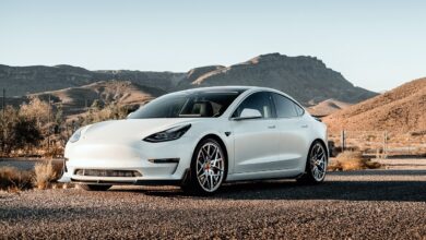 Tesla leads Canada’s new Chinese EV imports as quota fills rapidly