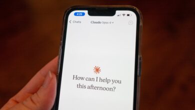 Anthropic bans "cruel" behavior toward Claude, cites rising rogue AI incidents