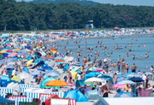 Denmark records 37°C high, shattering national heat record