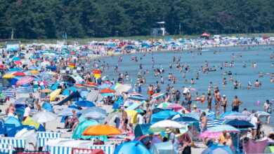 Denmark records 37°C high, shattering national heat record