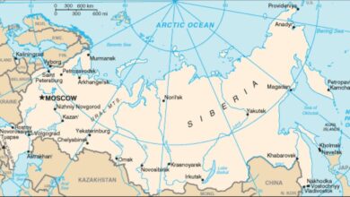 Siberian hospital quarantined after 28-year-old lab worker dies from suspected plague