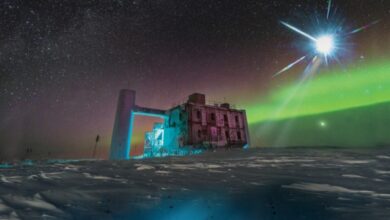 Francis Halzen awarded 2026 Nobel Prize in Physics for IceCube Neutrino Observations