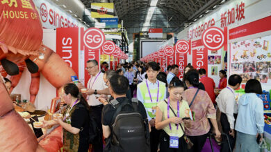 Singaporean firms press ahead with China expansion despite Nanning scandal