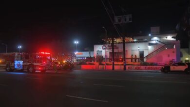 22-Year-Old Musician Maria De La Rosa Killed in Northridge Ambush-Style Shooting