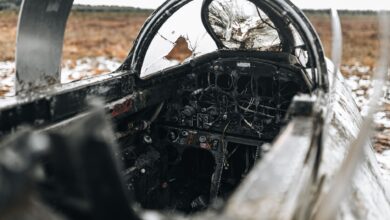 Flydubai co-pilot charged with attempted sabotage after stabbing captain mid-flight; UAE opens investigation
