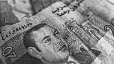 Algerian Dinar Suffers Sharp Decline as Euro Exchange Rate Breaches 290 Mark