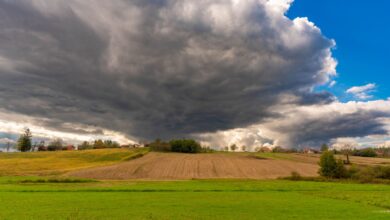 El Niño development offers limited certainty for UK winter weather patterns