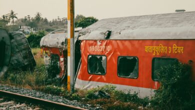 Driver killed and 100 injured in fatal train collision near Bedford