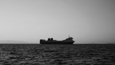 Drone attacks sink one ship off Bulgaria’s Black Sea coast, PM Radev says