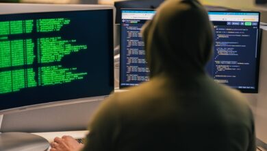 AI Tool Identified Vulnerability Affecting Up to 70% of Global Websites