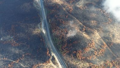 British Columbia declares state of emergency as wildfires force over 20,000 to evacuate