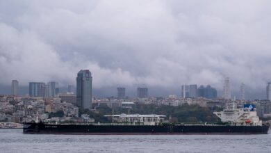 Iran's Araqchi blames US for Strait of Hormuz tensions, calls for diplomacy