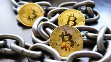 Home Invasion Involving Cryptocurrency Theft and Threats to Unborn Child Under Investigation