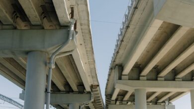 World’s Largest Wildlife Crossing on Track for Winter Opening Amid El Niño Concerns