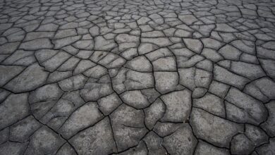 Intraplate tectonics drive recurring tremors across southern Australia