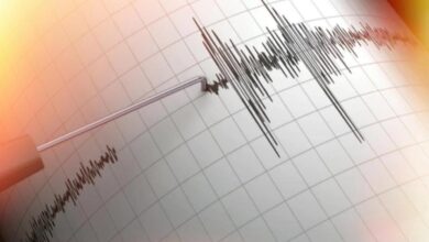 Seismic swarms and minor tremors shake Marmara Sea region, Istanbul