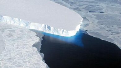 Antarctic Thwaites Glacier Ice Shelf Shows Signs of Rapid Structural Failure