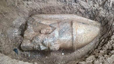 Egyptian archaeologists uncover colossal statue fragments of Ramses II in Gharbia