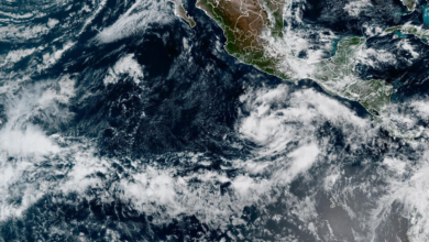 Tropical Storm Vance forms in eastern Pacific; Super Typhoon Champi sets 2026 strength record