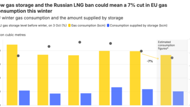 Europe Winter Gas Storage Hits 15-Year Low, Forcing Potential 7% Demand Cuts