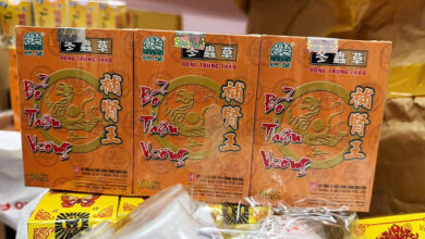 Vietnam Dismantles Counterfeit Medicine Rings Using Banned Steroids and Paracetamol