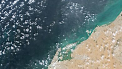 Oil spill from damaged tanker widens off UAE coast, satellite images show