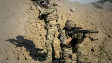 Ukraine’s Operation Vivaldi Reclaims Territory and Captures 250 Russian Troops