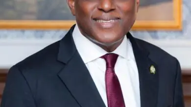 Nigeria’s Central Bank Governor Cardoso Appointed Chairman of Africa Finance Corporation