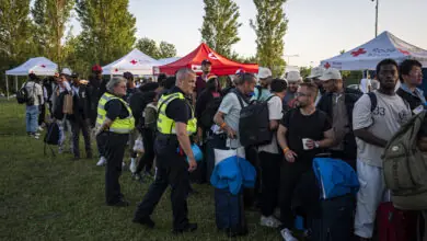 Aid groups withdraw from Ter Apel asylum centre as violence escalates