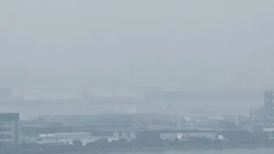 Singapore’s Transboundary Haze Law Triggered as Air Quality Deteriorates