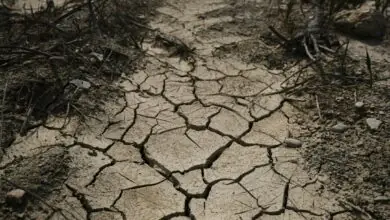 Drought status declared in Yorkshire as reservoirs fall to record lows