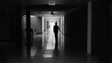 Bystander Ends Silver Rail Elementary Shooting; Legal Questions Loom Over Bystander’s Actions