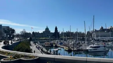 BC Conservatives Lead NDP in Tight Snap Election Race, New Polls Show