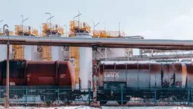 G7 Nations Move to Release Diesel Reserves Amid Supply Crisis