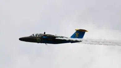 Sweden to pursue deep-strike capability inside Russia if attacked, Air Force colonel states