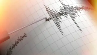 Seismic swarms and minor tremors shake Marmara Sea region, Istanbul