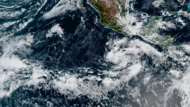 Tropical Storm Vance forms in eastern Pacific; Super Typhoon Champi sets 2026 strength record