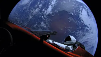 Musk Floats SpaceX-Tesla Merger, Citing AI Synergies and Control Gains