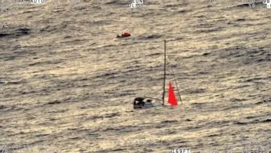 Sperm whale collision sinks yacht, stranding four sailors for 17 hours in South Pacific