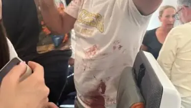 Flydubai flight averts disaster after cockpit assault causes violent descent